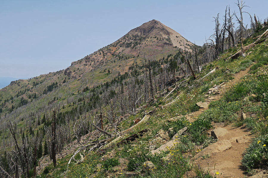 Strawberry Mountain [Onion Creek Trail, Strawberry Mountain Wilderness, Grant County, Oregon]