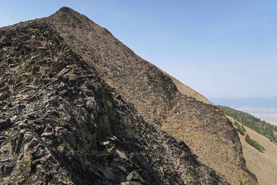 summit of Strawberry Mountain [Strawberry Mountain, Strawberry Mountain Wilderness, Grant County, Oregon]