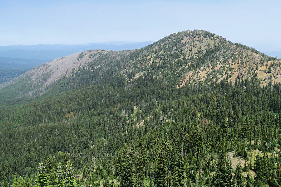 Peak 7926 [Forest Road 2010, Malheur National Forest, Grant County, Oregon]