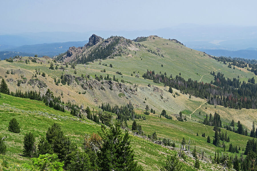 east end of the Greenhorn Mountains [Forest Road 2010, Malheur National Forest, Grant County, Oregon]