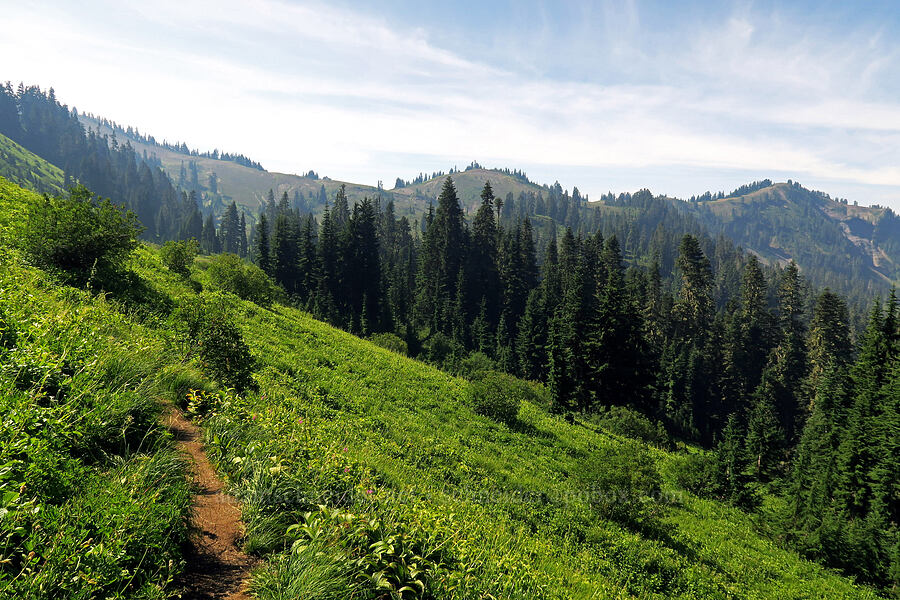 Excelsior Ridge from the north [Damfino Lakes Trail, Mt. Baker-Snoqualmie National Forest, Whatcom County, Washington]