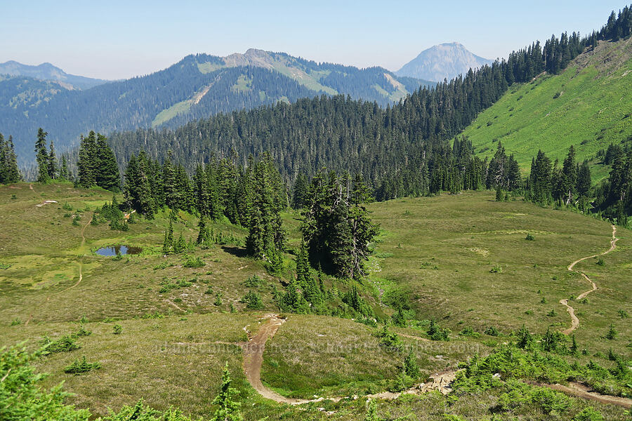 Cowap Peak & Mount McGuire [Damfino Lakes Trail, Mt. Baker-Snoqualmie National Forest, Whatcom County, Washington]