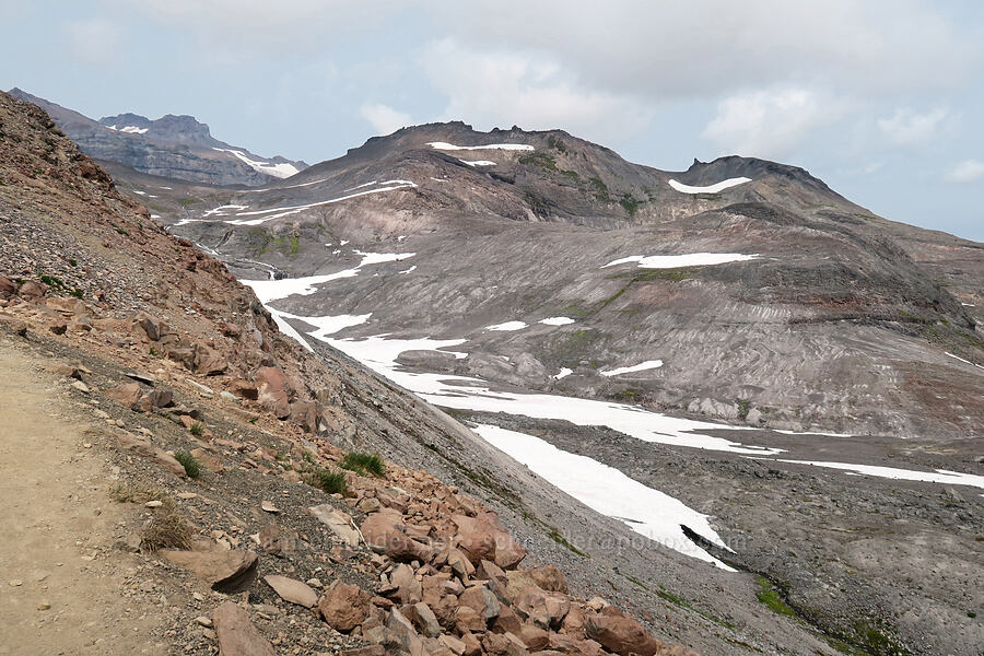 snowfields below Paradise Glacier [Skyline Trail, Mt. Rainier National Park, Pierce County, Washington]