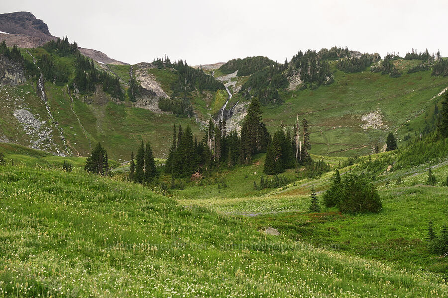 Golden Gate Falls & Edith Creek Basin [Skyline Trail, Mt. Rainier National Park, Pierce County, Washington]