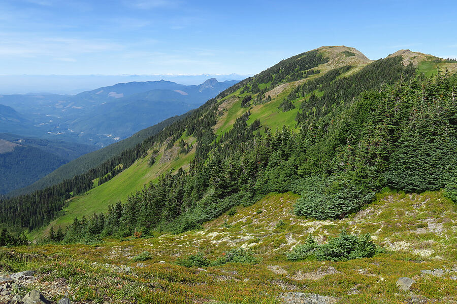 Skyline Divide & the North Fork Nooksack Valley [Chowder Ridge, Mt. Baker Wilderness, Whatcom County, Washington]