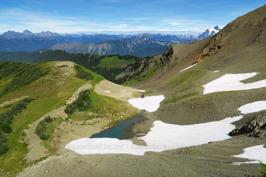 view to the northeast [Chowder Ridge, Mt. Baker Wilderness, Whatcom County, Washington]