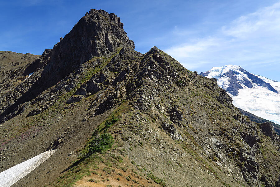 Chowder Ridge [Chowder Ridge, Mt. Baker Wilderness, Whatcom County, Washington]