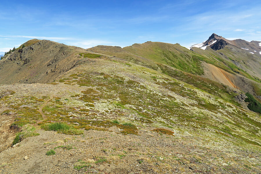 Chowder Ridge & Hadley Peak [Chowder Ridge, Mt. Baker Wilderness, Whatcom County, Washington]