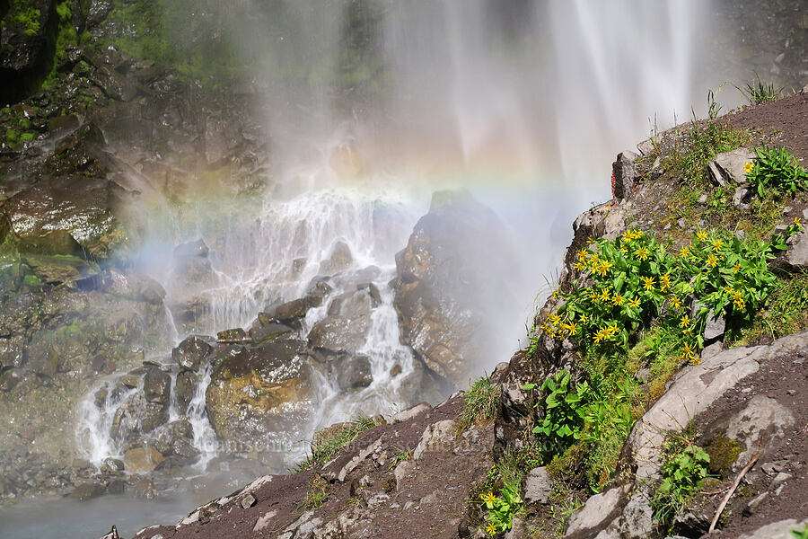 bottom of Comet Falls [Comet Falls-Van Trump Trail, Mt. Rainier National Park, Pierce County, Washington]