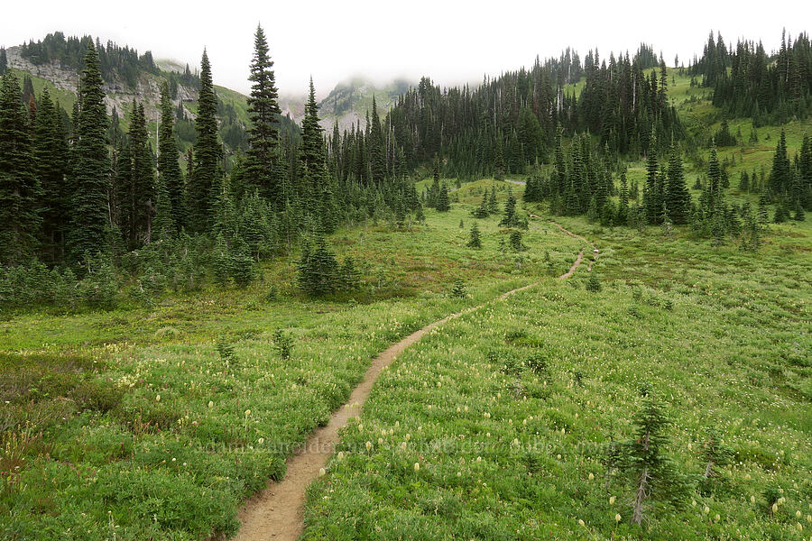 Van Trump Park [Van Trump Park, Mt. Rainier National Park, Pierce County, Washington]