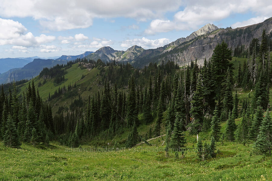 Iron Mountain, Copper Mountain, & Pyramid Peak [Van Trump Park, Mt. Rainier National Park, Pierce County, Washington]