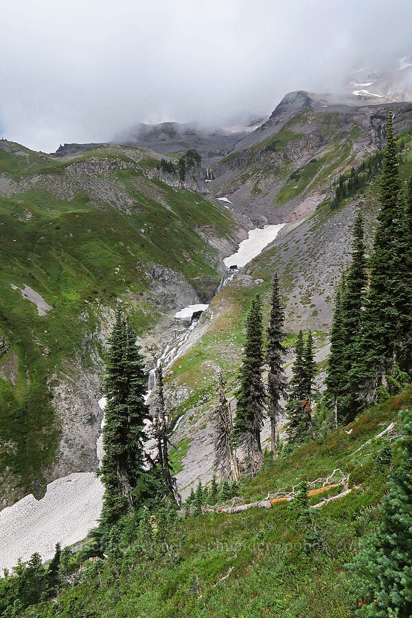 west fork of Van Trump Creek [Van Trump Park, Mt. Rainier National Park, Pierce County, Washington]