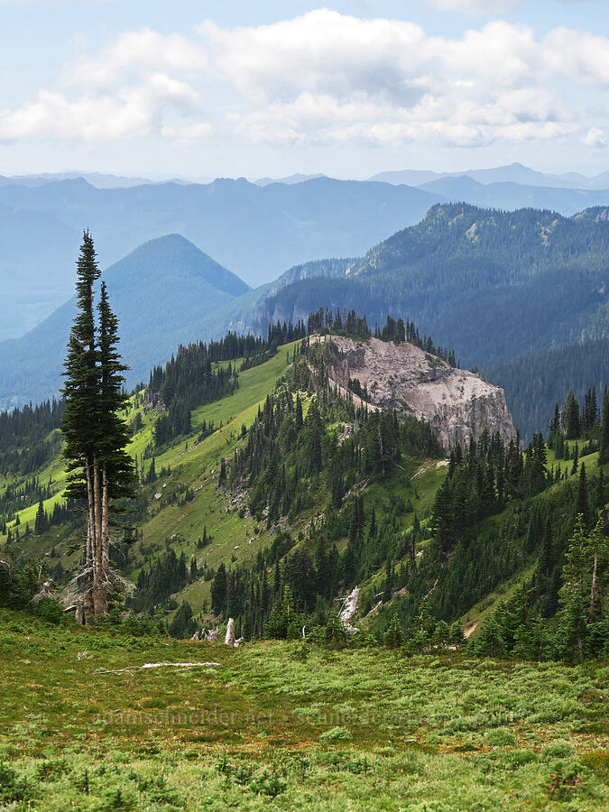 Mildred Point [Van Trump Park, Mt. Rainier National Park, Pierce County, Washington]