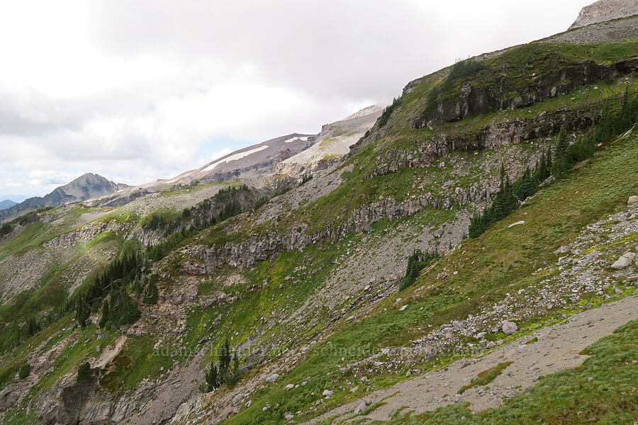 slopes west of Van Trump Park [above Van Trump Park, Mt. Rainier National Park, Pierce County, Washington]