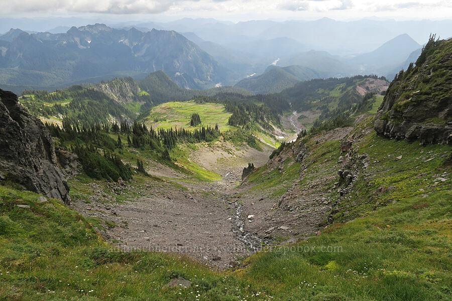 view to the south [above Van Trump Park, Mt. Rainier National Park, Pierce County, Washington]