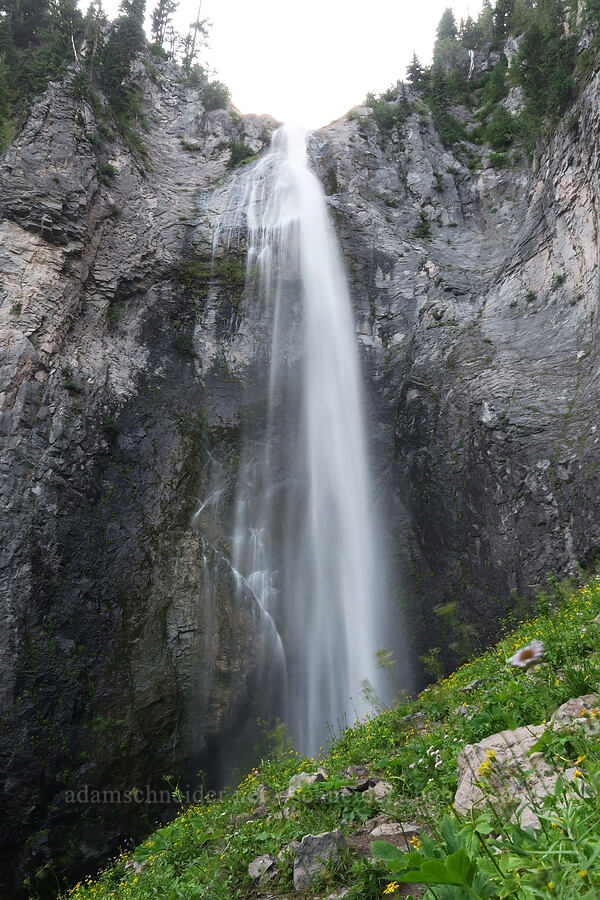 Comet Falls [Comet Falls-Van Trump Trail, Mt. Rainier National Park, Pierce County, Washington]