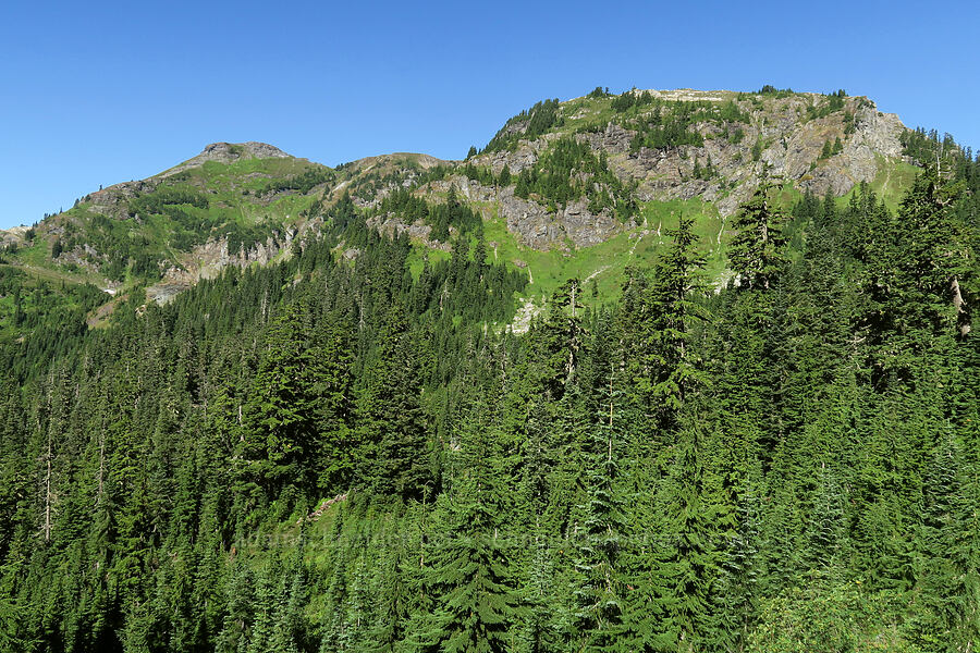 Yellow Aster Butte [Tomyhoi Lake Trail, Mt. Baker Wilderness, Whatcom County, Washington]