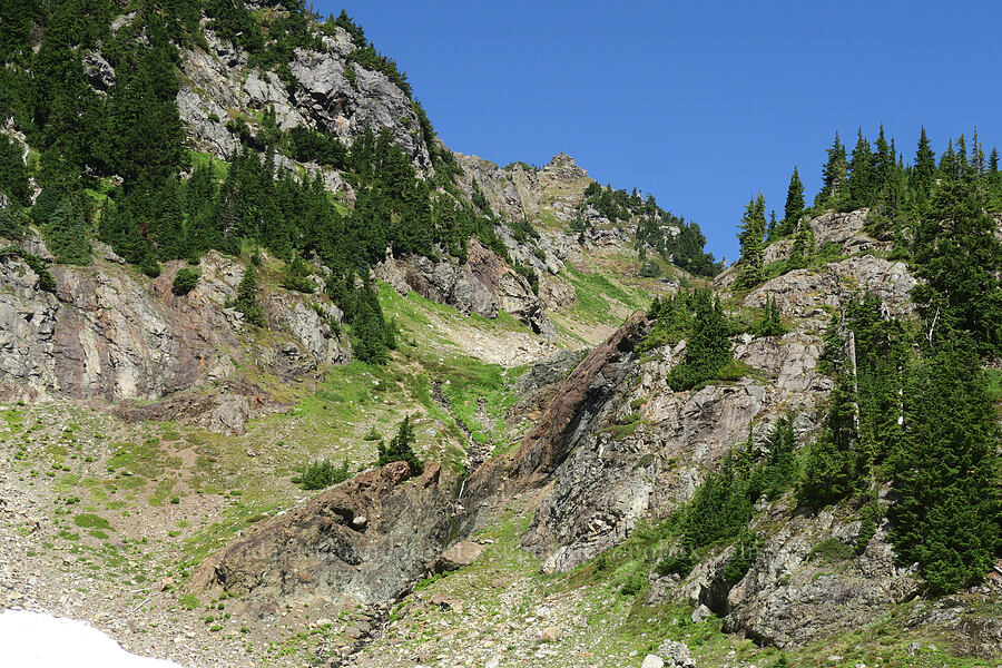 alternate route to the top? [Yellow Aster Butte Trail, Mt. Baker Wilderness, Whatcom County, Washington]