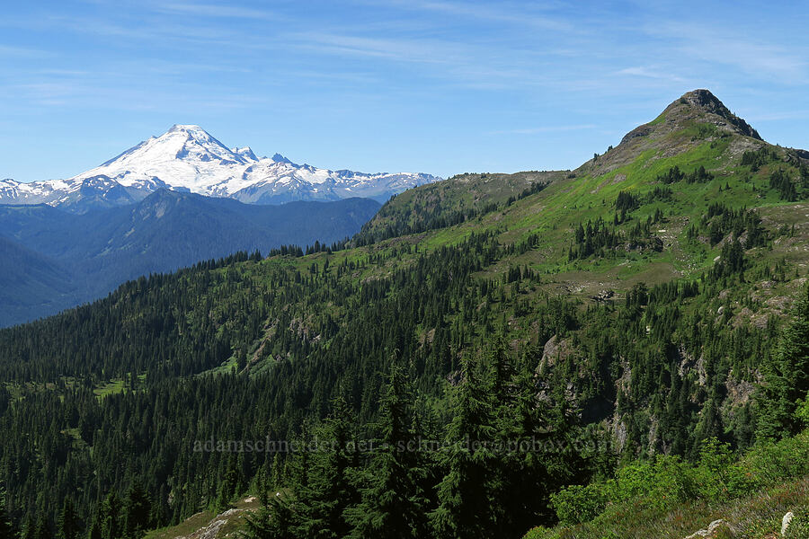 Mount Baker & Peak 5933 [Yellow Aster Butte Trail, Mt. Baker Wilderness, Whatcom County, Washington]