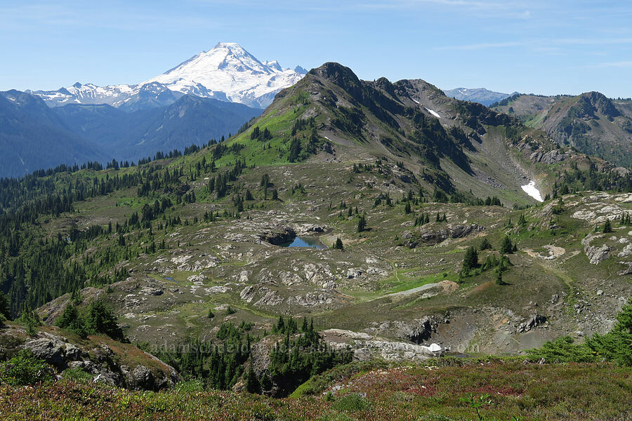 Mount Baker, Peak 5933, & tarns [Yellow Aster Butte Trail, Mt. Baker Wilderness, Whatcom County, Washington]