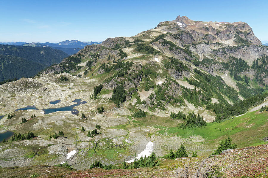 Tomyhoi Peak [Yellow Aster Butte, Mt. Baker Wilderness, Whatcom County, Washington]
