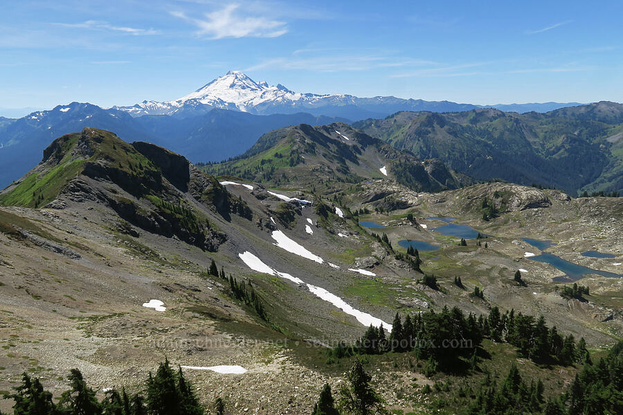 Mount Baker & tarns below Yellow Aster Butte [summit of Yellow Aster Butte, Mt. Baker Wilderness, Whatcom County, Washington]