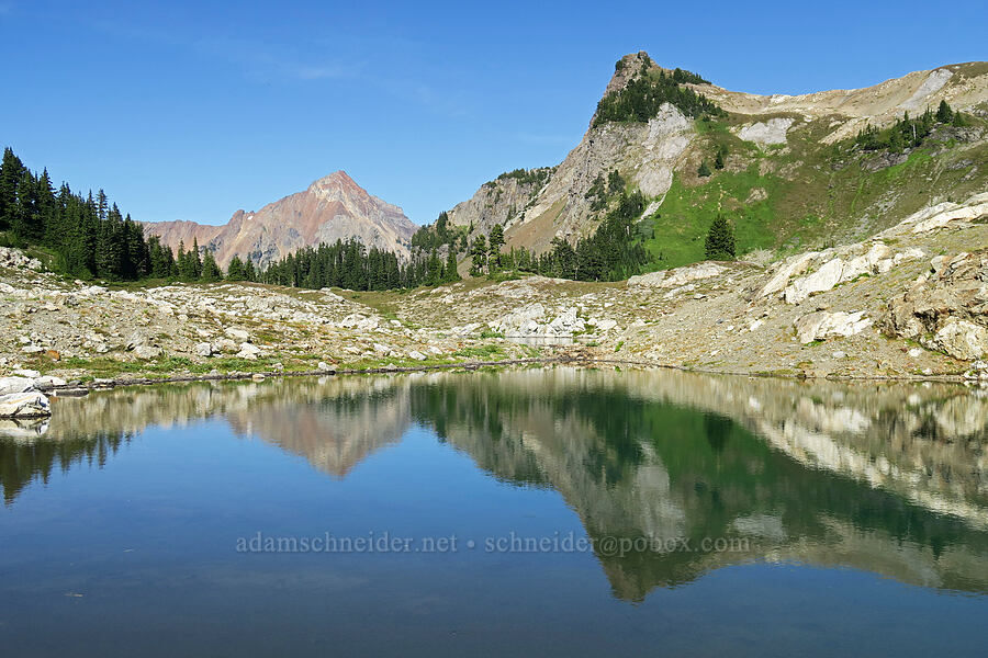 summit of Yellow Aster Butte [below Yellow Aster Butte, Mt. Baker Wilderness, Whatcom County, Washington]