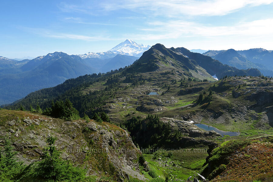 view to the southwest [Yellow Aster Butte Trail, Mt. Baker Wilderness, Whatcom County, Washington]
