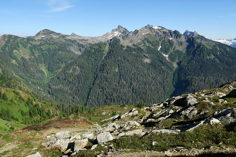 Goat Mountain [Yellow Aster Butte Trail, Mt. Baker Wilderness, Whatcom County, Washington]