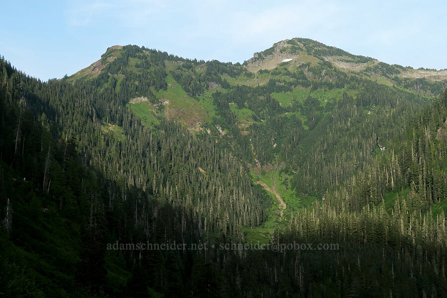 head of Swamp Creek's valley [Tomyhoi Lake Trail, Mt. Baker Wilderness, Whatcom County, Washington]
