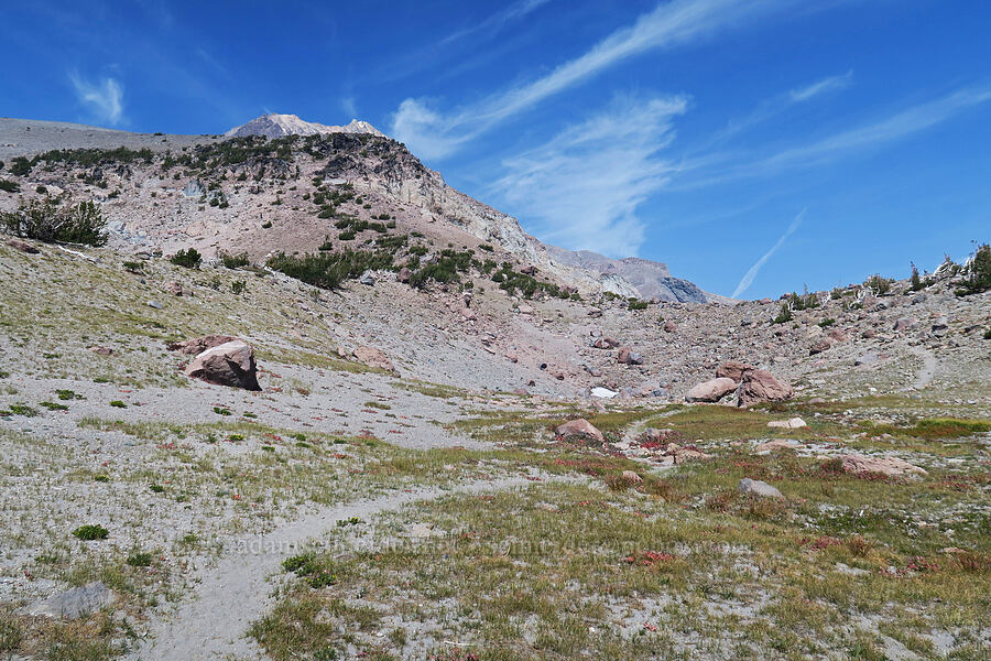 dry subalpine meadows [Middle Wizard Way Trail, Mt. Hood National Forest, Hood River County, Oregon]
