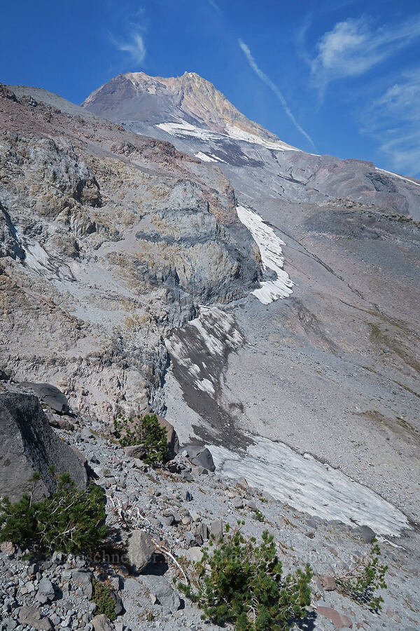 south edge of upper Heather Canyon [Middle Wizard Way Trail, Mt. Hood National Forest, Hood River County, Oregon]
