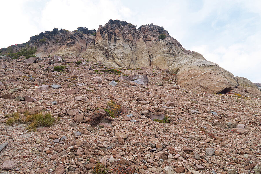 cliffs & pinkish rock [Upper Wizard Way Trail, Mt. Hood National Forest, Hood River County, Oregon]