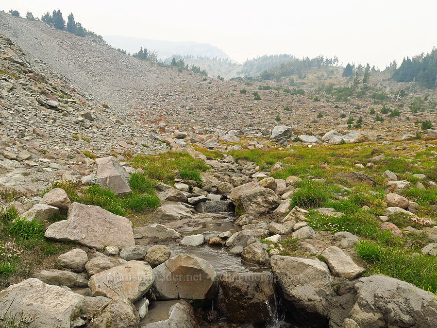 tiny stream [Mt. Hood Meadows, Mt. Hood National Forest, Hood River County, Oregon]