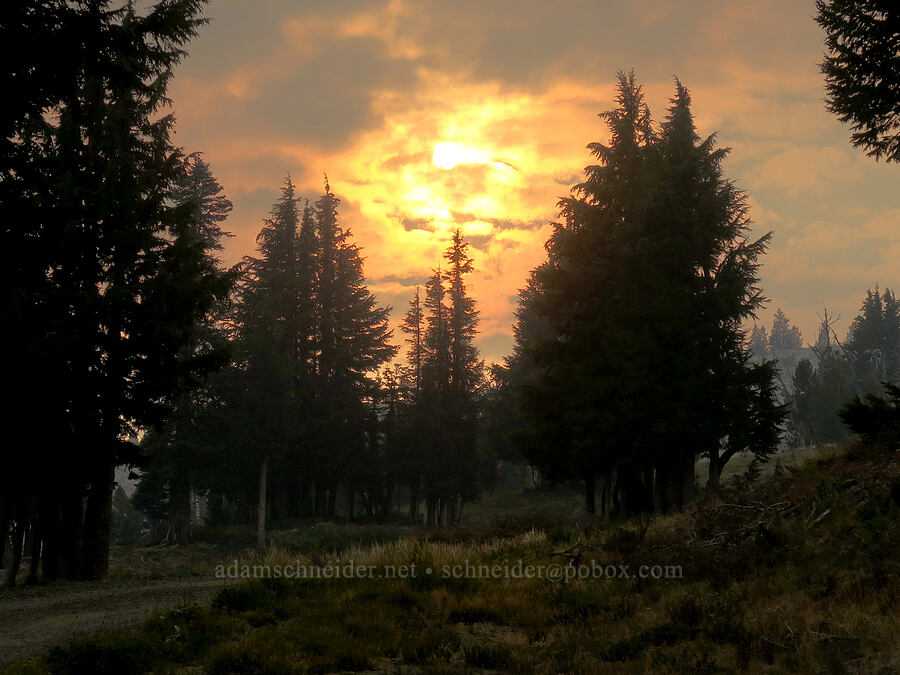 smoky sun [Mt. Hood Meadows, Mt. Hood National Forest, Hood River County, Oregon]