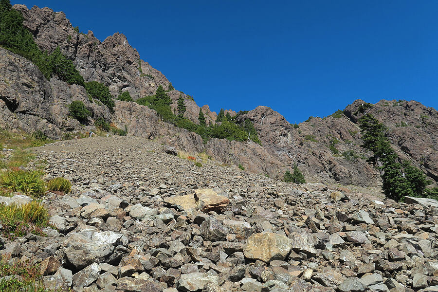 talus field above the meadow [Mt. Washington Trail, Olympic National Forest, Mason County, Washington]