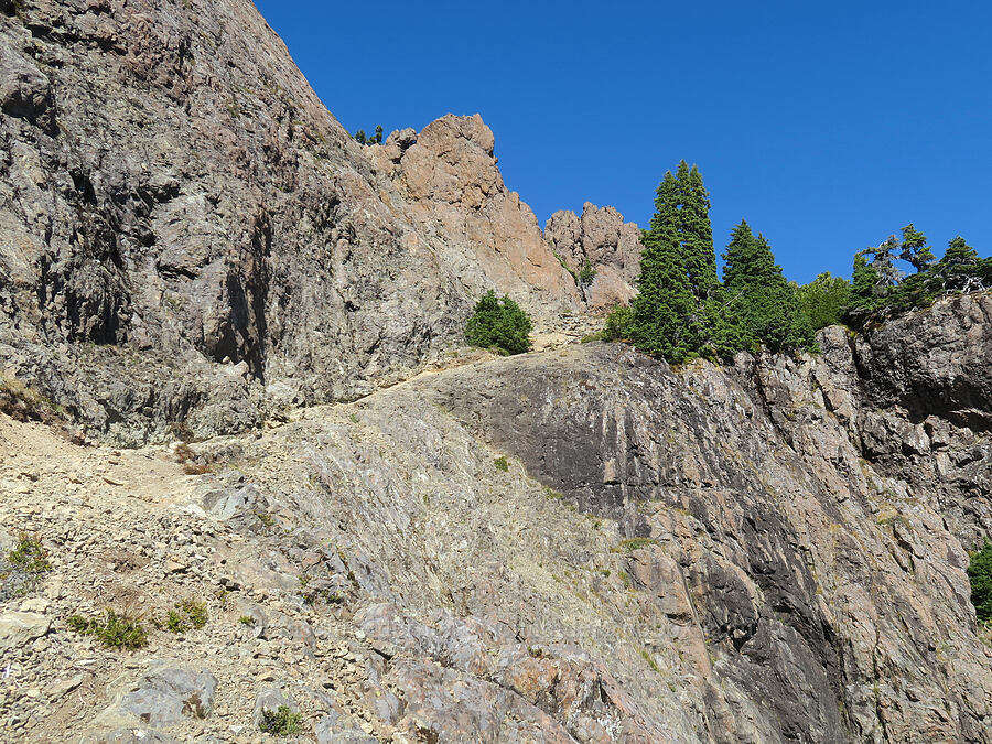 approaching the ridgecrest [Mt. Washington Trail, Olympic National Forest, Mason County, Washington]