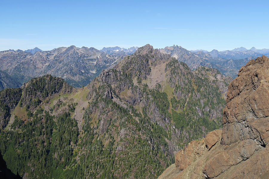Olympic Mountains [Mt. Washington Trail, Olympic National Forest, Mason County, Washington]