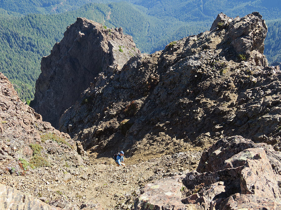 hikers coming up a chute [Mt. Washington's summit, Mount Skokomish Wilderness, Mason County, Washington]