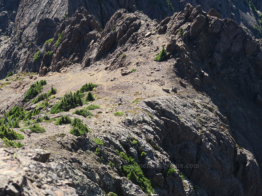 Mount Washington's southwest ridge [Mt. Washington's summit, Mount Skokomish Wilderness, Mason County, Washington]