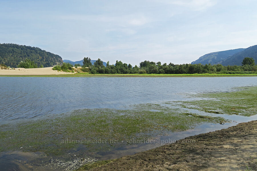 Sand Island [Rooster Rock State Park, Multnomah County, Oregon]