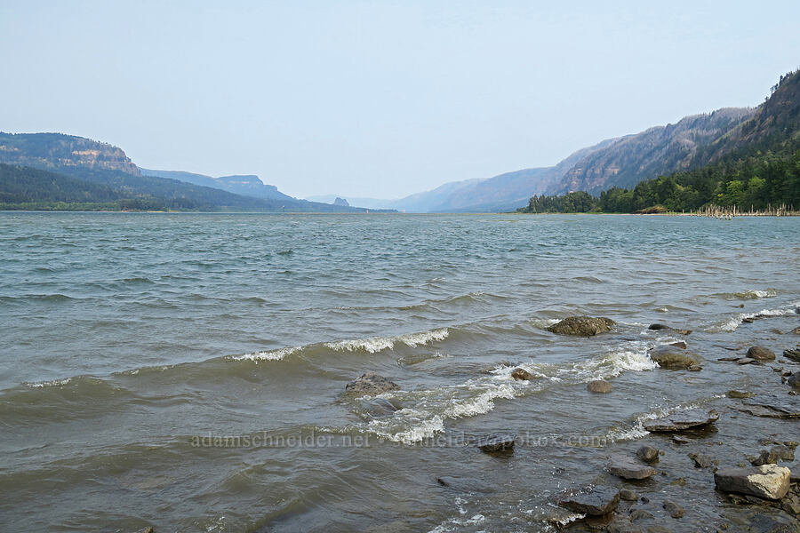Columbia River Gorge [Dalton Point, Multnomah County, Oregon]