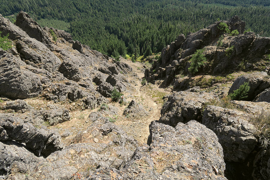 head of Skull Creek [Sleeping Beauty, Gifford Pinchot National Forest, Skamania County, Washington]