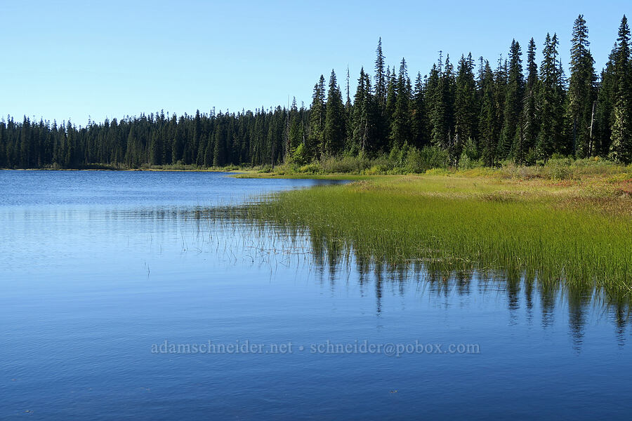 Big Mosquito Lake [Mosquito Lakes, Gifford Pinchot National Forest, Skamania County, Washington]