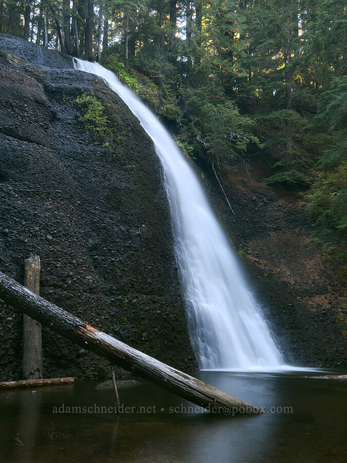 Langfield Falls [Langfield Falls Trail, Gifford Pinchot National Forest, Skamania County, Washington]