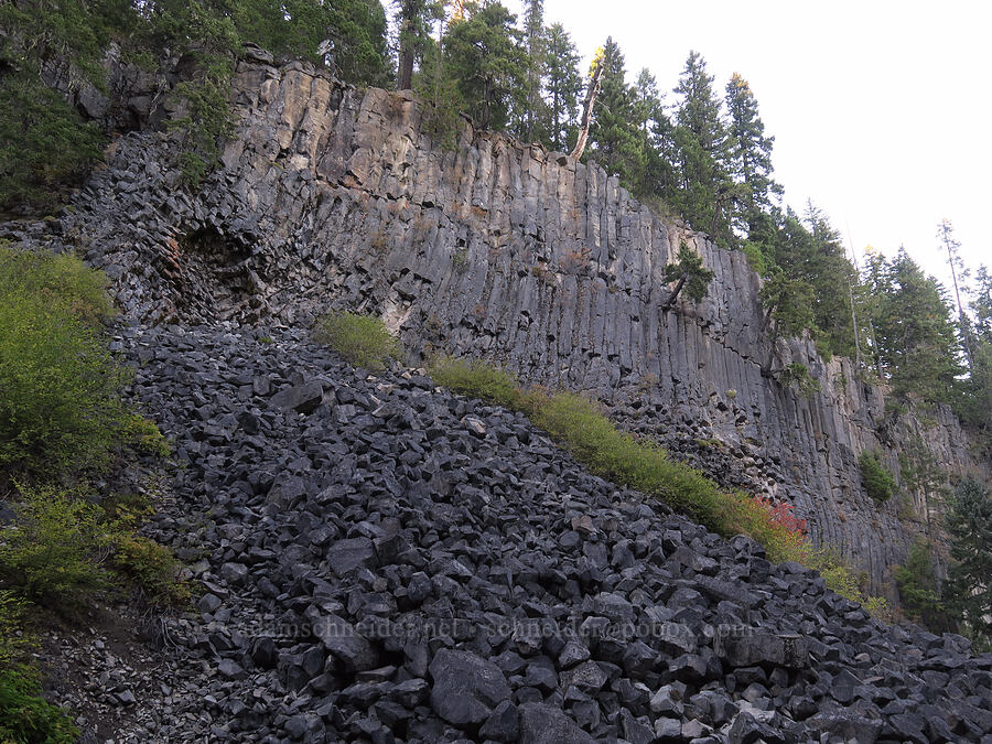 columnar basalt [Little Goose Creek Canyon, Gifford Pinchot National Forest, Skamania County, Washington]