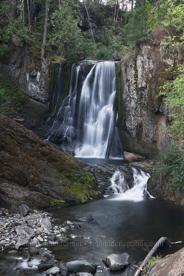 Little Goose Creek Falls [Little Goose Creek Canyon, Gifford Pinchot National Forest, Skamania County, Washington]