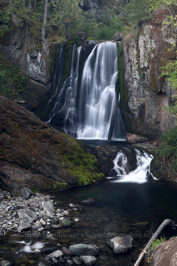 Little Goose Creek Falls [Little Goose Creek Canyon, Gifford Pinchot National Forest, Skamania County, Washington]
