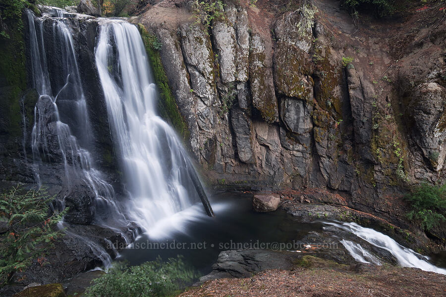 Little Goose Creek Falls [Little Goose Creek Canyon, Gifford Pinchot National Forest, Skamania County, Washington]