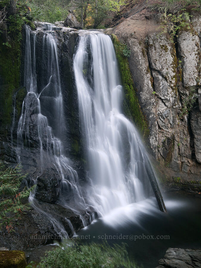Little Goose Creek Falls [Little Goose Creek Canyon, Gifford Pinchot National Forest, Skamania County, Washington]